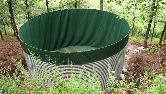 膜內(nèi)膽